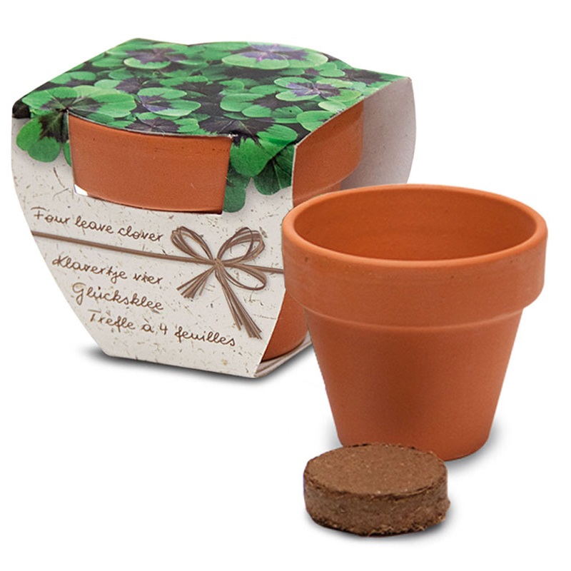 Terracotta potje in doosje - Afbeelding 3